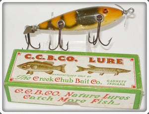 C.C.B.CO. Creek Chub Bait Co Tan Crab Injured Minnow Lure In Box 1515