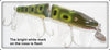 Creek Chub Frog Spot Jointed Husky Pikie 3019 W Special