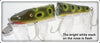 Creek Chub Frog Spot Jointed Husky Pikie 3019 W Special