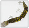 Creek Chub Frog Spot Triple Jointed Pikie 2819 P Special