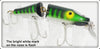 Creek Chub Mackerel Jointed Snoowk Pikie 5520 Special In Box