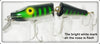 Creek Chub Mackerel Jointed Snoowk Pikie 5520 Special In Box