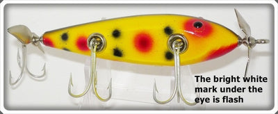 Creek Chub Yellow Spotted Injured Minnow Friday Afternoon Special 1514