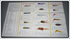 Creek Chub 1969 Bait Catalog