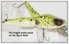 Vintage Paw Paw Yellow Splatter Wotta Frog 74