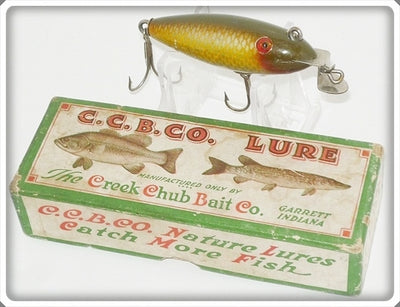Vintage CCBCO Creek Chub Golden Shiner Baby Wiggler Lure In Box 204