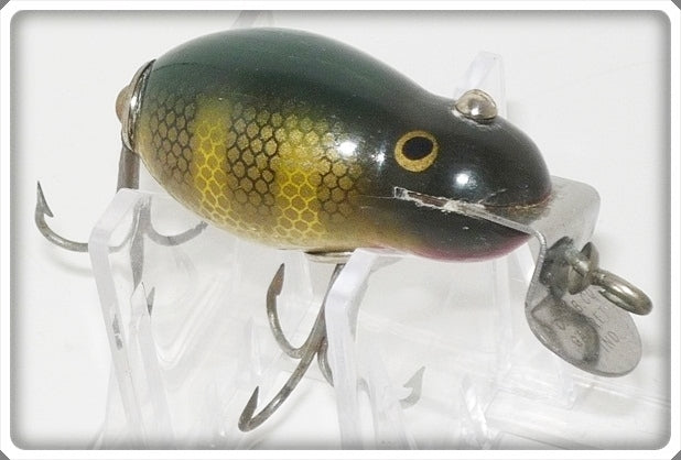 ccb co fishing lure Vintage 9-27-20 C.C.B.CO Creek Chub Bait Co Perch Tiny Tim Lure 6401
