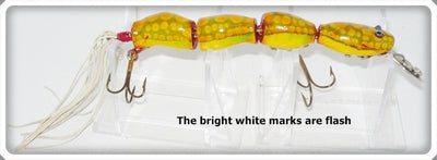 Bud Stewart Jointed Salamander