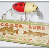 Vintage Creek Chub Red & White Beetle Lure In Box 3852