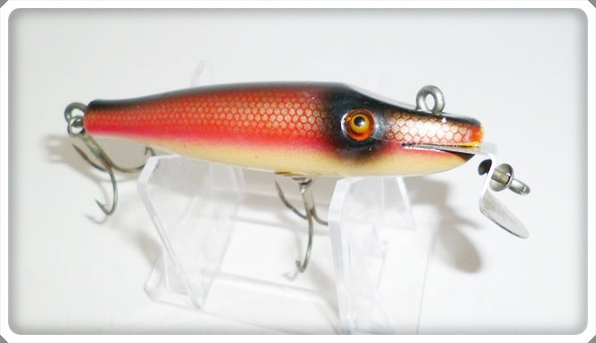 Creek Chub Redside Dace Baby Pikie 905