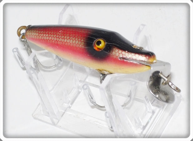 Creek Chub Redside Dace Midget Pikie Lure 2205 Special