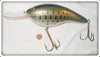 Vintage Bagley Little Bass On White Huge 11" DB9 Display Lure