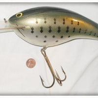 Vintage Bagley Little Bass On White Huge 11" DB9 Display Lure
