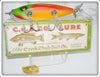 Vintage Creek Chub Rainbow Fire Lefty Injured Minnow Lure 1531