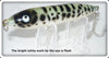 Heddon Mackerel Zara Spook 9250 GDS