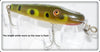 Vintage Creek Chub Frog Spot Midget Pikie Lure 2219 Special 