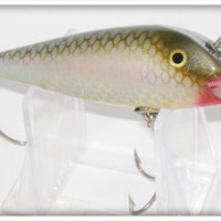 Vintage Creek Chub Silver Shiner Open Mouth Shiner Lure 503 Special