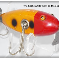 Creek Chub Orange Spotted Red Head Baby Injured Minnow 1630 Special