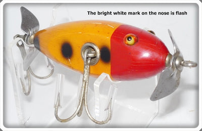 Creek Chub Orange Spotted Red Head Baby Injured Minnow 1630 Special