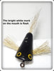 Vintage Creek Chub Black Fly Rod Plunker Bass Bug Lure F1003