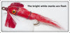 Vintage Heddon Solid Red Fly Rod Bug A Bee Lure S4-R