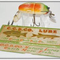Vintage Creek Chub Rainbow Fire Beetle Lure 3831 Special In Box 