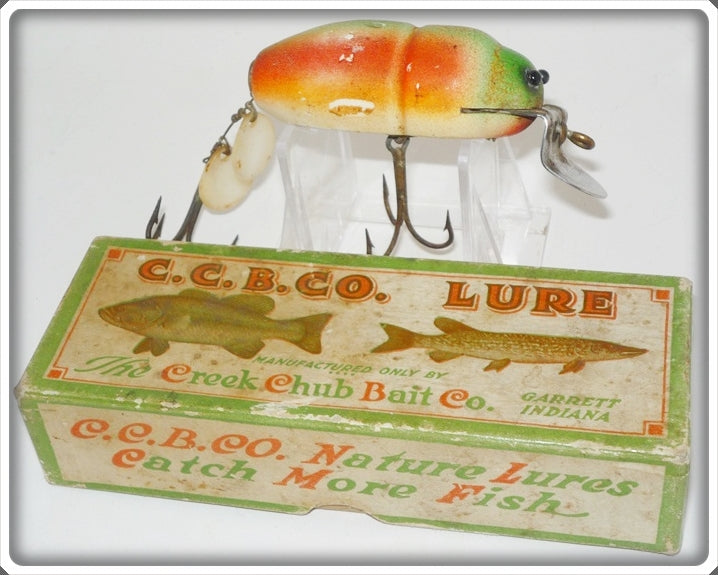 Vintage Creek Chub Rainbow Fire Beetle Lure 3831 Special In Box 