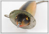 Heddon Shiner Scale 210 Surface