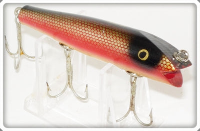 Creek Chub Redside Dace Darter 2005 Special