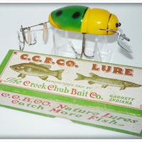 Vintage Creek Chub Yellow & Green Beetle Lure 3850 In Box