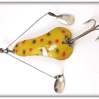 Creek Chub Yellow Spotted Sinful Sal