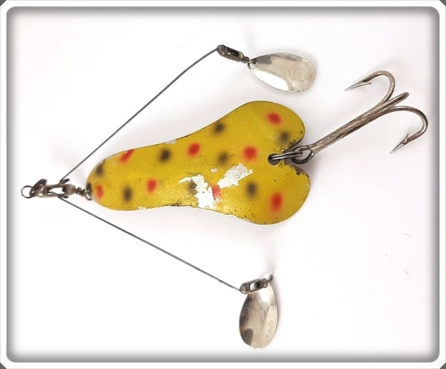 Creek Chub Yellow Spotted Sinful Sal